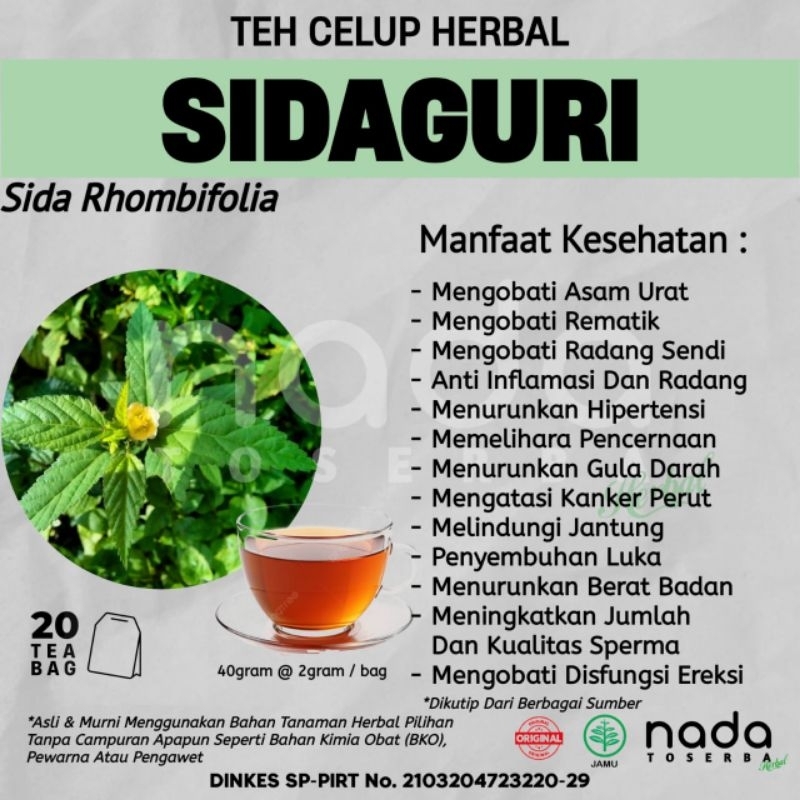 

Teh Celup Herbal SIDAGURI Isi 20 Tea Bag | Rematik & Asam Urat| Sida Rhombifolia