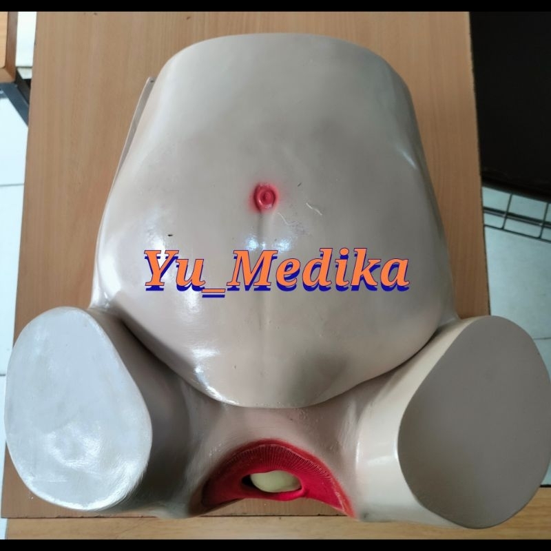 Phantom Panggul Melahirkan / Persalinan Fiber  (hanya panggul+penutupnya saja)