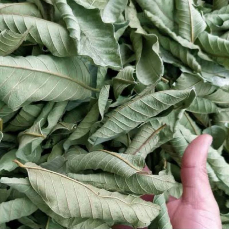 

Daun jambu biji kering paket 500 gram