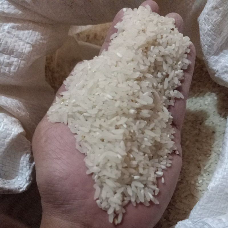 

beras lokal dari Cianjur BUKAN pandan wangi