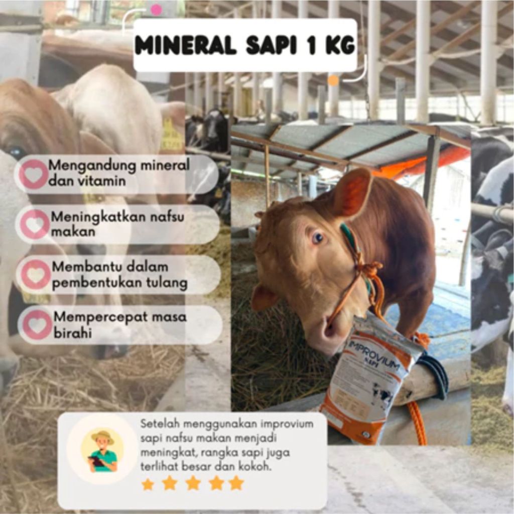 Vitamin Sapi Penggemuk Sapi Penambah Nafsu Makan Sapi Improvium Sapi (1KG)