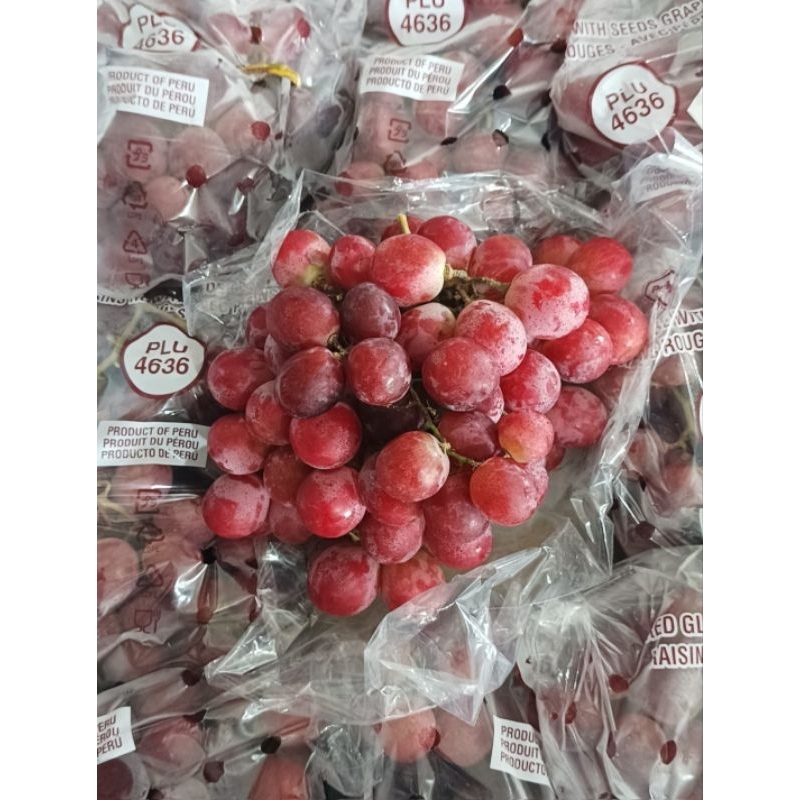 

Aggur Redglobe Peru 1 keranjang 8 kg