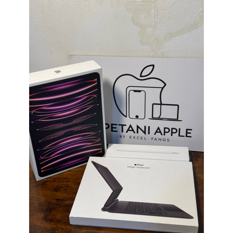 Ipad Pro M2 128 GB Bundling