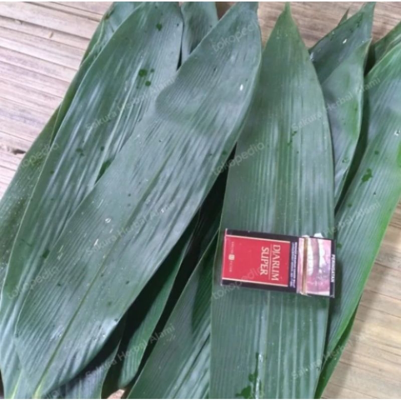 

Daun bambu segar serbaguna