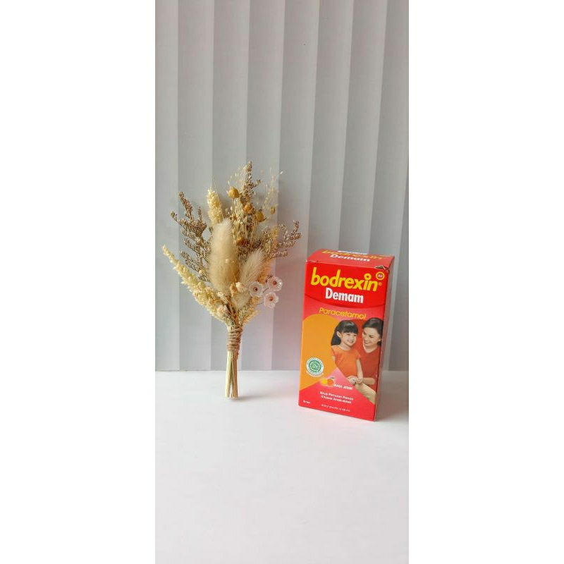 Bodrexin Syrup Demam