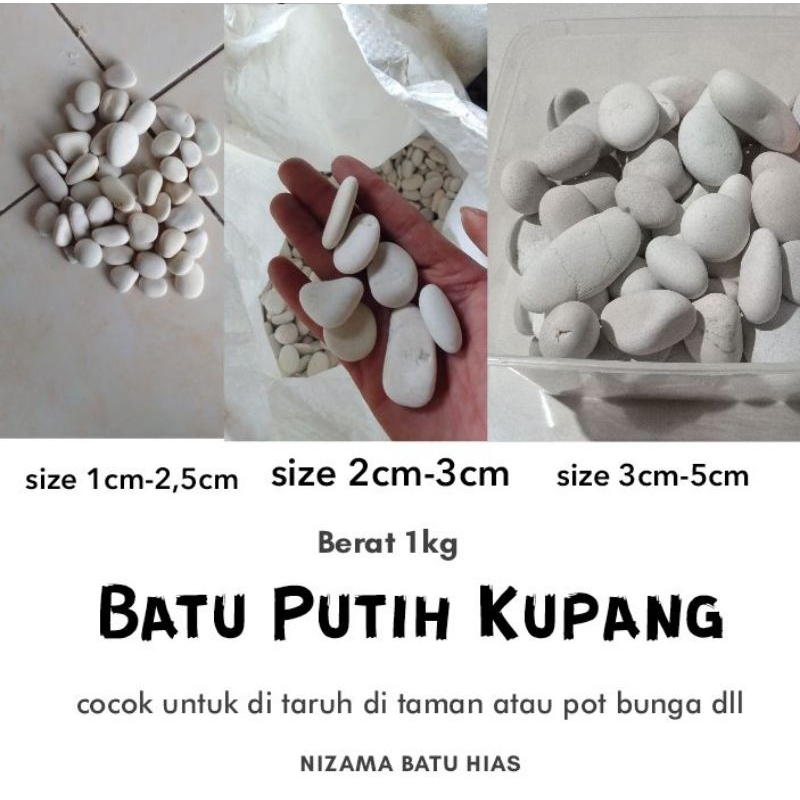 1kg batu putih kupang/Batu koral putih/batu taman/Batu hias coral putih paling kecil 1 kg /Batu puti