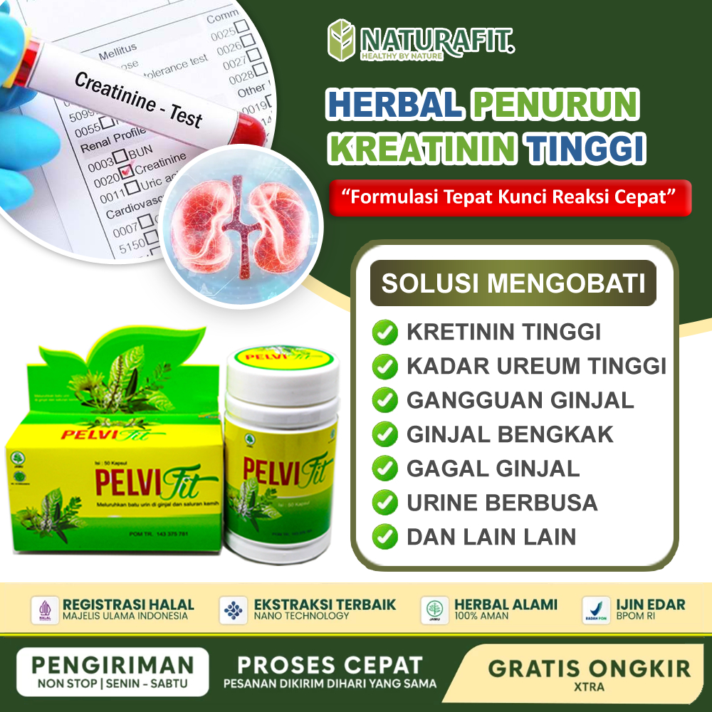 Obat Kreatinin Tinggi Penurun Kreatin Paling Ampuh Kreatinin Tinggi dan Ureum Memperbaiki Fungsi Gin