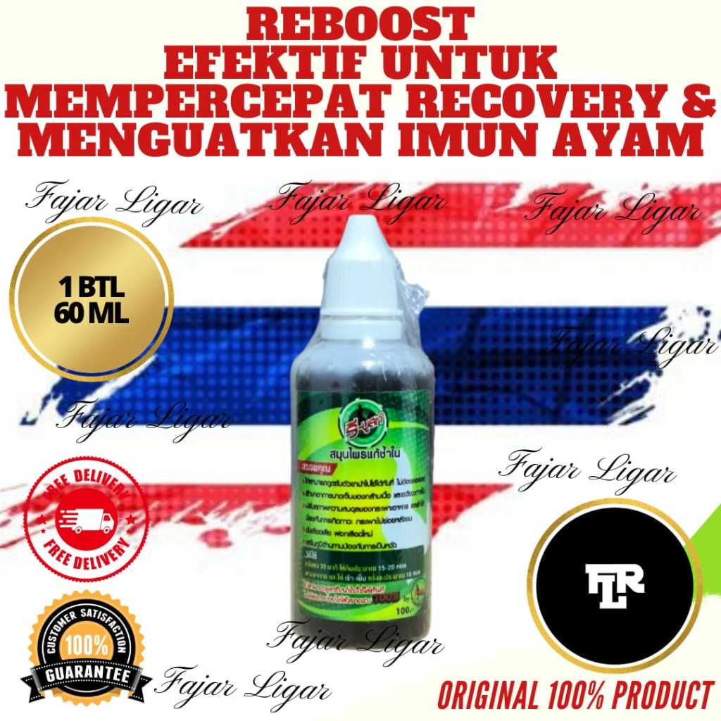 RE BOOST AYAM LAGA THAILAND 60 ML MULTIVITAMIN