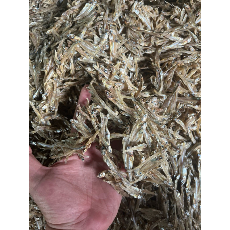 

ikan teri