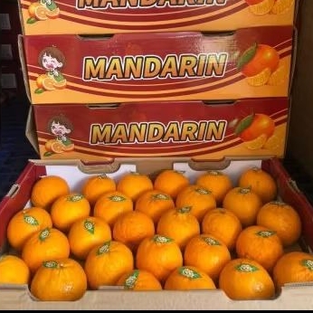 

Buah Jeruk Wogan Wonderfruit Jual Per 1 Dus Karton