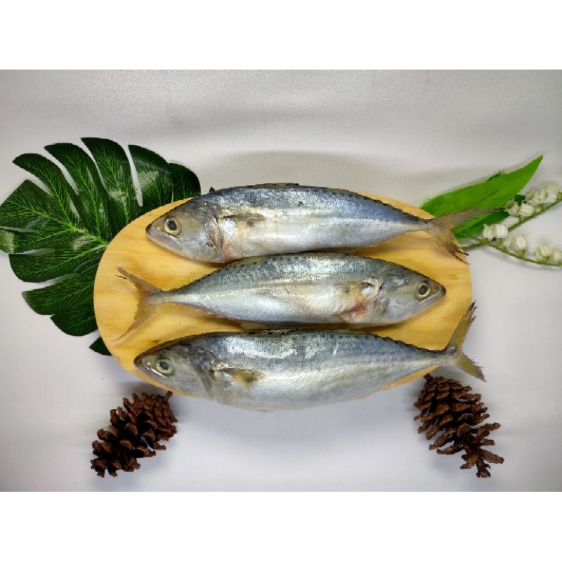 

Ikan kembung banjar freshhh 1Kg/Halal