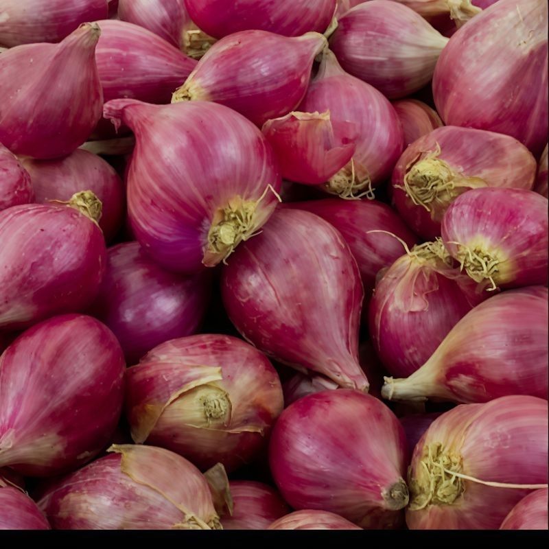 

Bawang merah fresh 500 gram