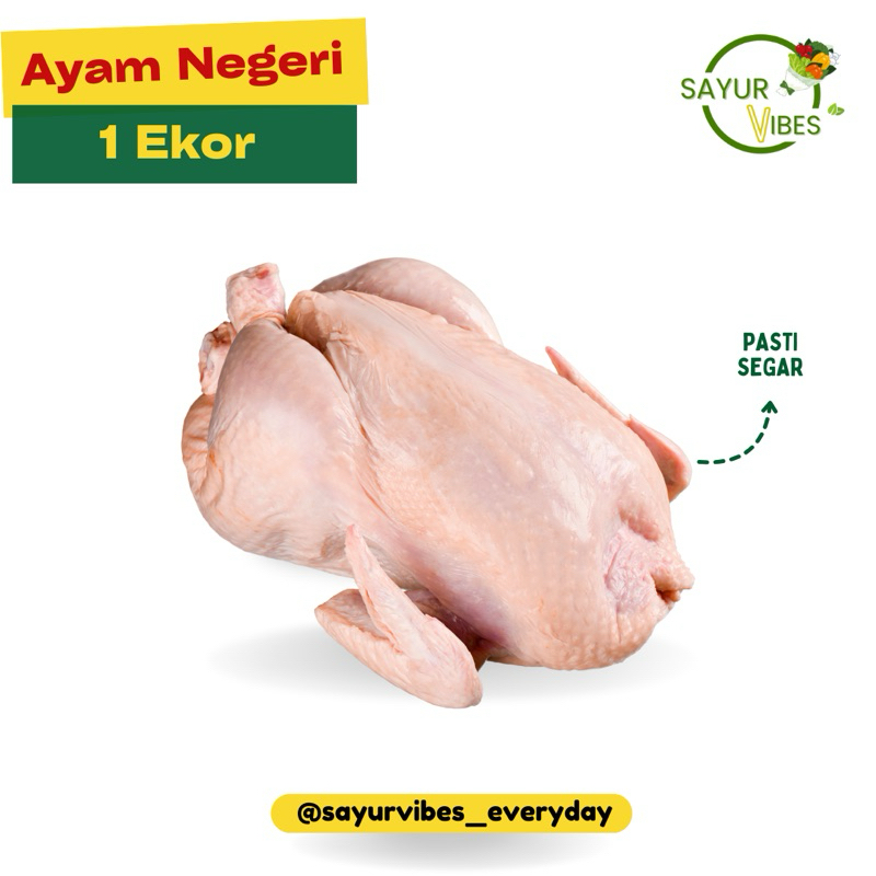 

Ayam negeri 1 ekor utuh sayur vibes / ayam potong segar / ayam karkas