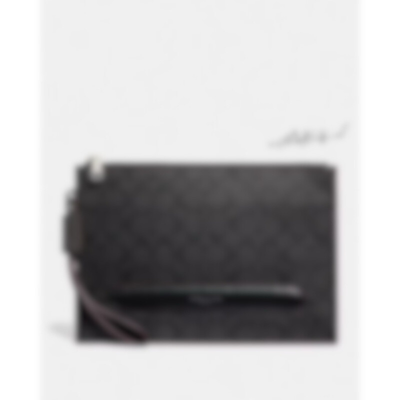 TAS PRIA STRUCTURED POUCH IN SIGNATURE