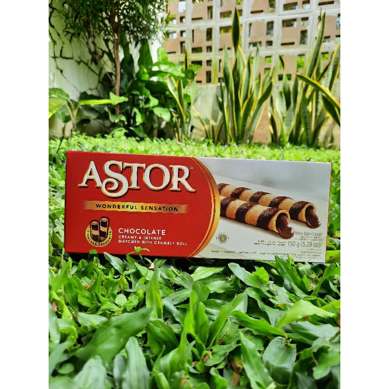 

Astor Wafer Stick Chocolate 150 gr