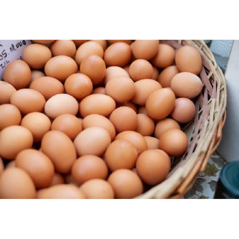 

Telur ayam negeri 1pcs mentah
