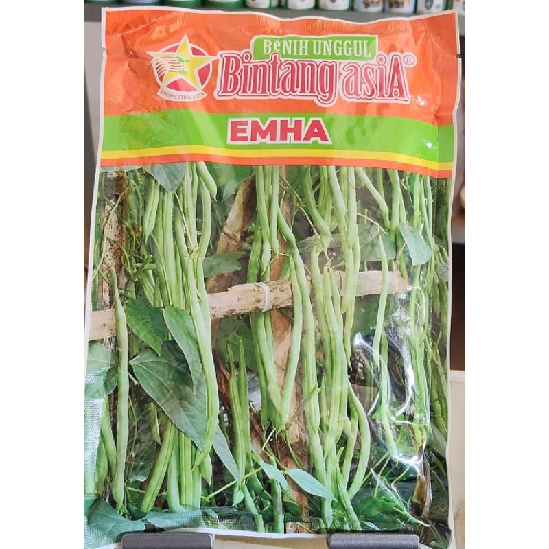 BENIH BUNCIS EMHA 500GR,BENIH BUNCIS BINTANG ASIA