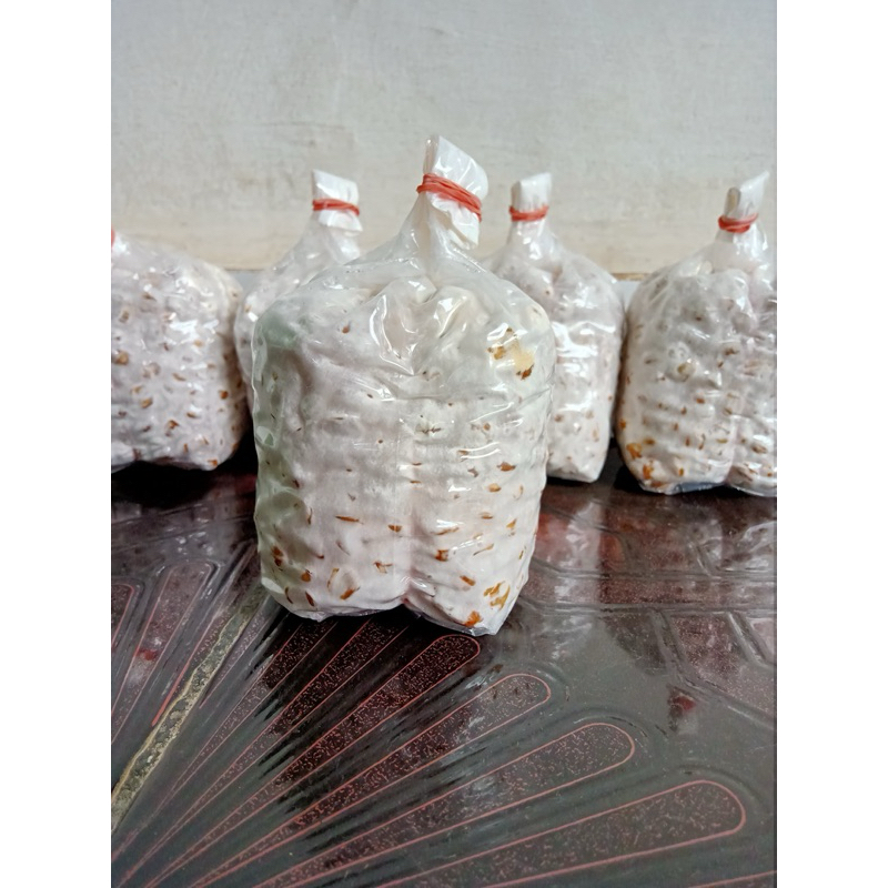 

Bibit Jamur Tiram Putih F2 Plastik Termurahhh!!