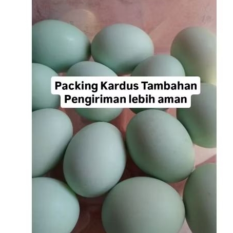 

PACKING KARDUS TAMBAHAN
