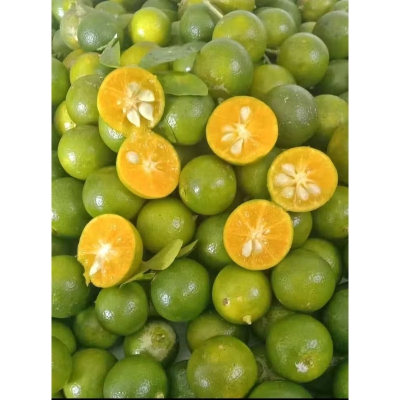 

5KG JERUK SONKIT/KASTURI/JERUK KUNCI