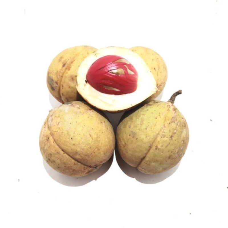 

buah pala utuh segar 1kg