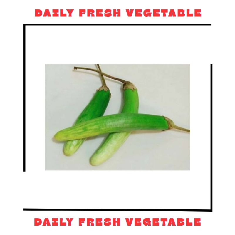 

Terong Telunjuk Fresh 500gr