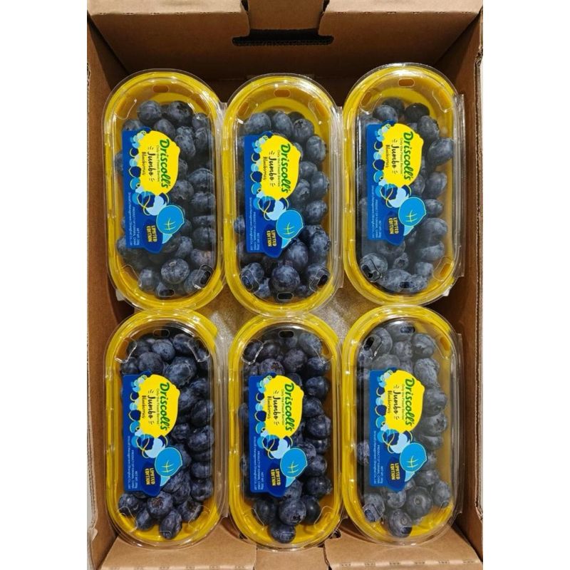 

Blueberry Driscolls Jumbo 250gram