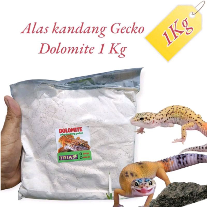 Dolomit Gecko/Alas Kandang Leopard Gecko/ Dolomit Putih/ Jual Dolomit Gecko/ Dolomit Gecko Leopard/ 