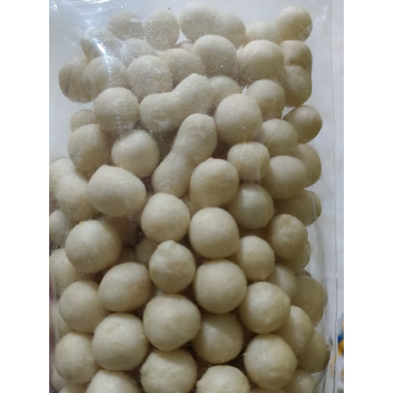 

Pilus Besar