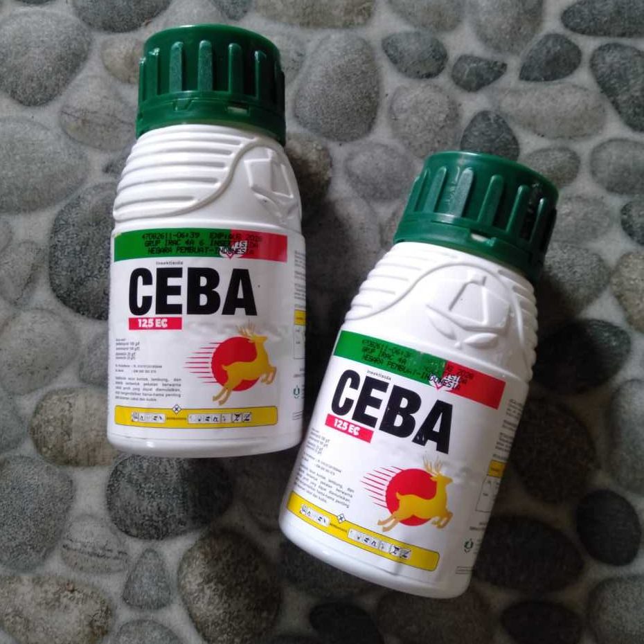 Insektisida Racun Kontak,Lambung&Sistemik CEBA 125 EC (asetamiprid 100g/l + abamektin 25g/l) - 200ml