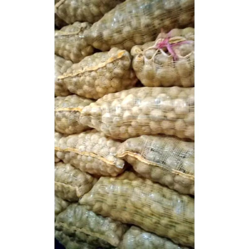 

kentang besar 1kg