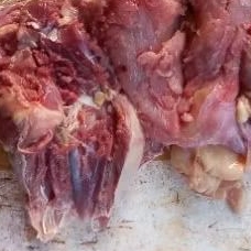 

fillet paha ayam kampung 1 kg murah banget