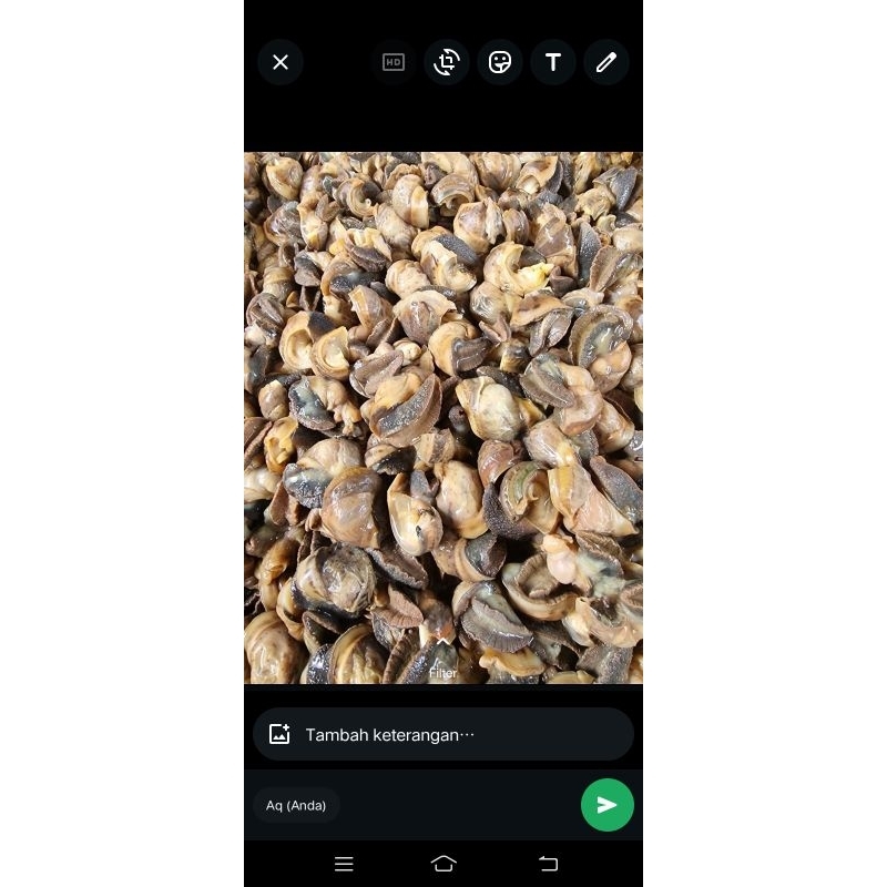 

dagingbekicot(Frozen)1kg