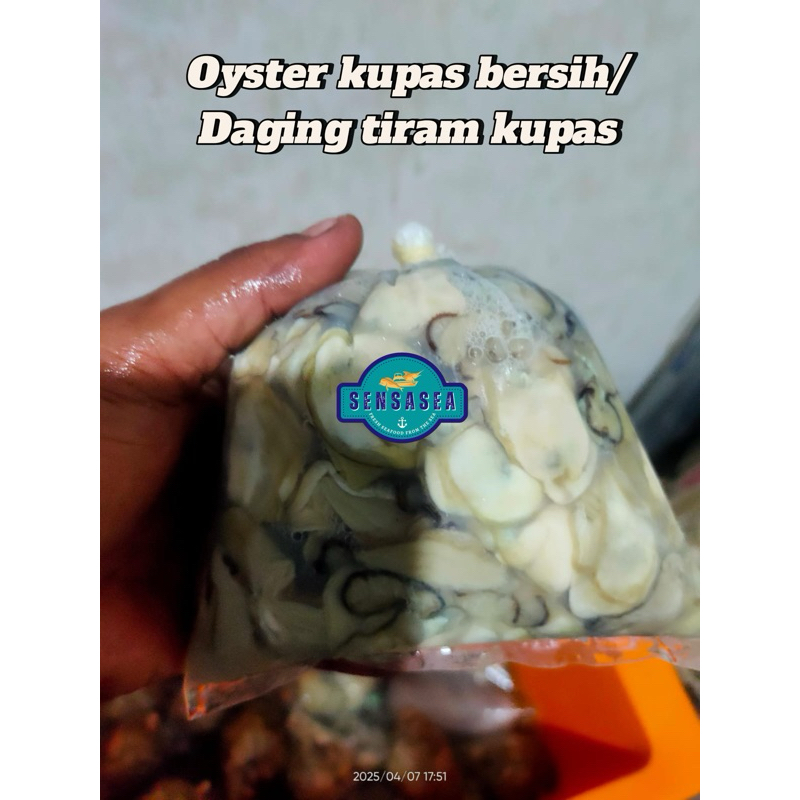 

DAGING TIRAM KUPAS / SIZE 500GR