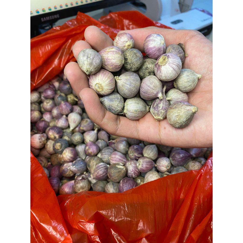 

Bawang Lanang Tunggal Impor 1 Kg