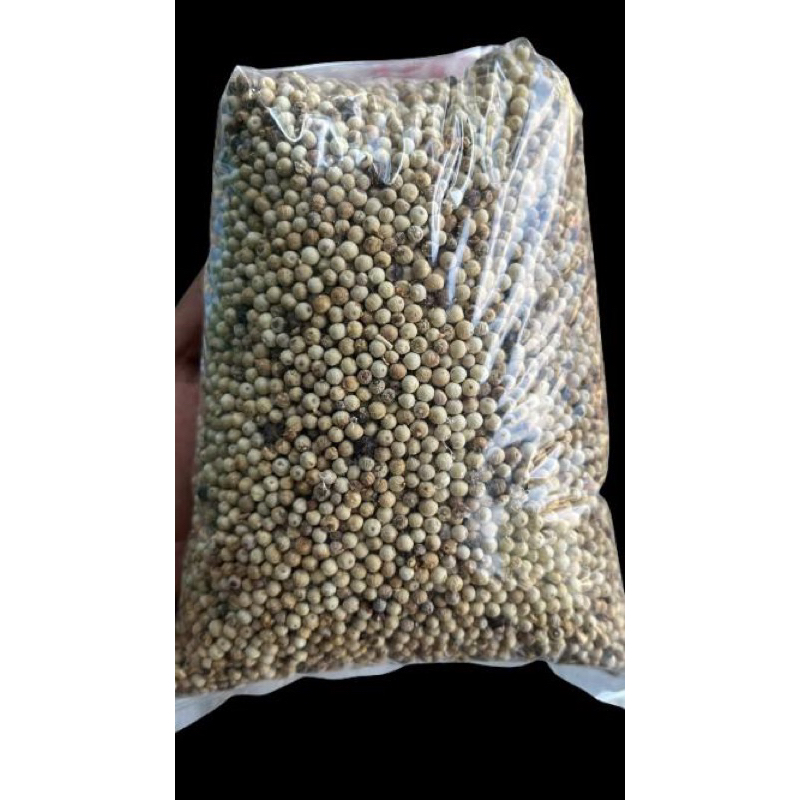 

merica putih kalimantan sulawesi grade A export