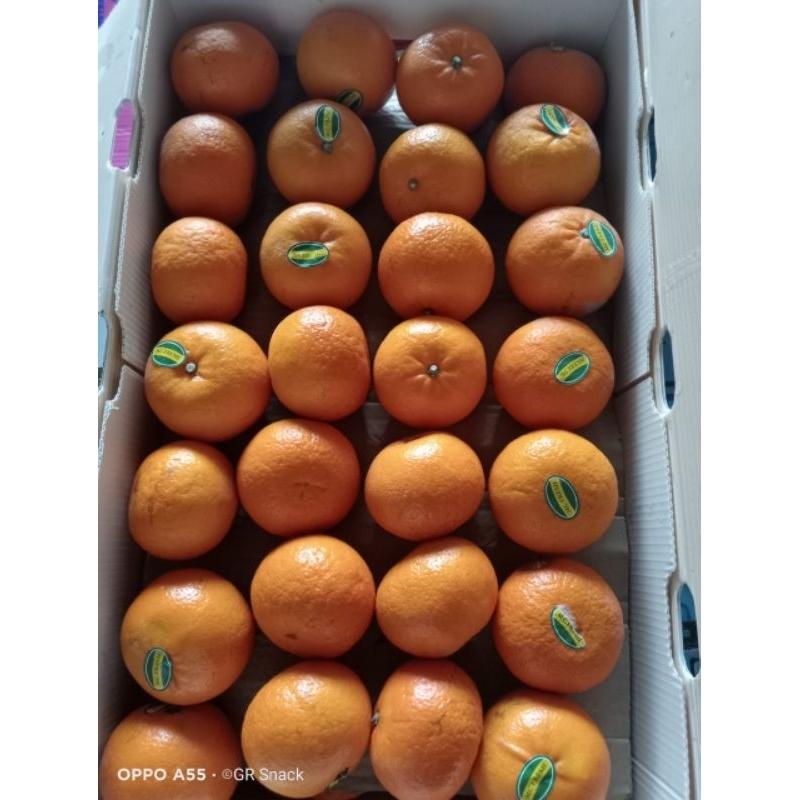 

BUAH JERUK MANIS WOGAN FRESS PREMIUM 1KG