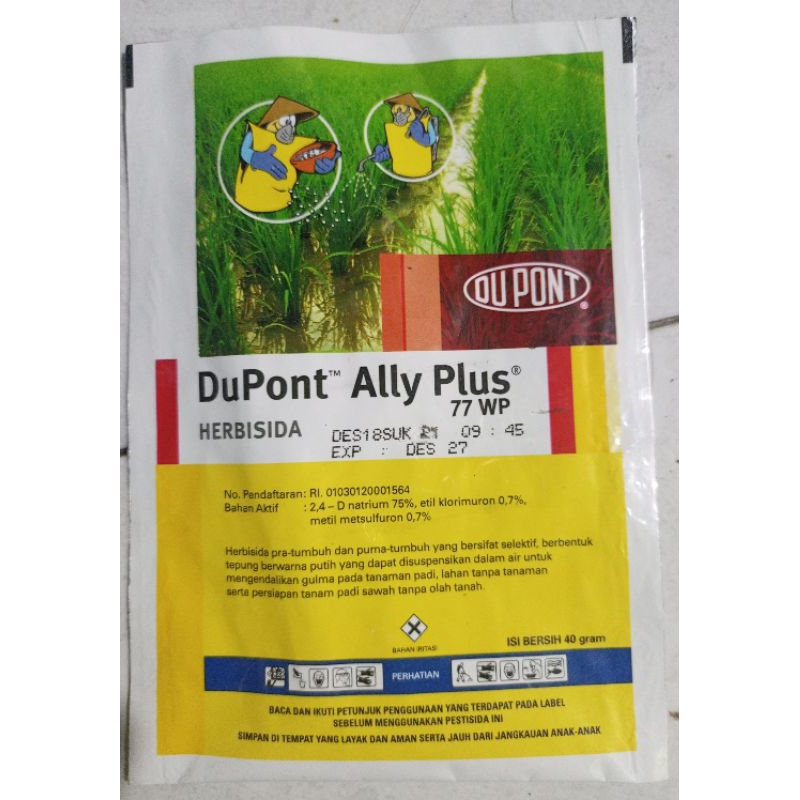 Dupont ALly pLus