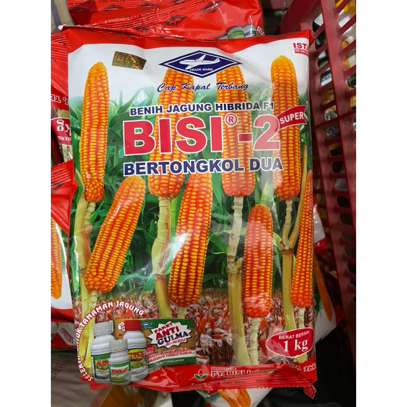 Benih Jagung Bisi-2 1kg bertongkol 2