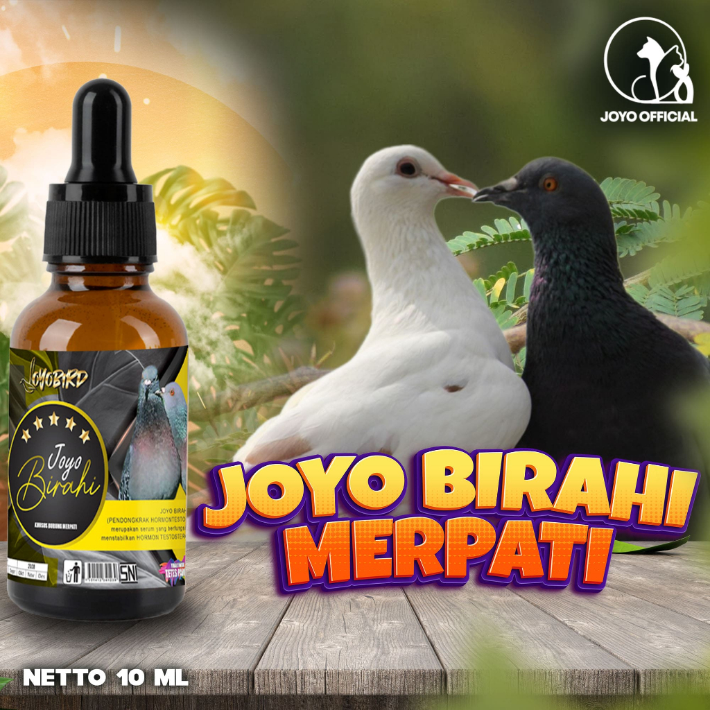 OBAT BURUNG PENDONGKRAK BIRAHI MERPATI | OBAT BURUNG | VITAMIN BURUNG PENDONGKRAK BIRAHI TESTOTERON 