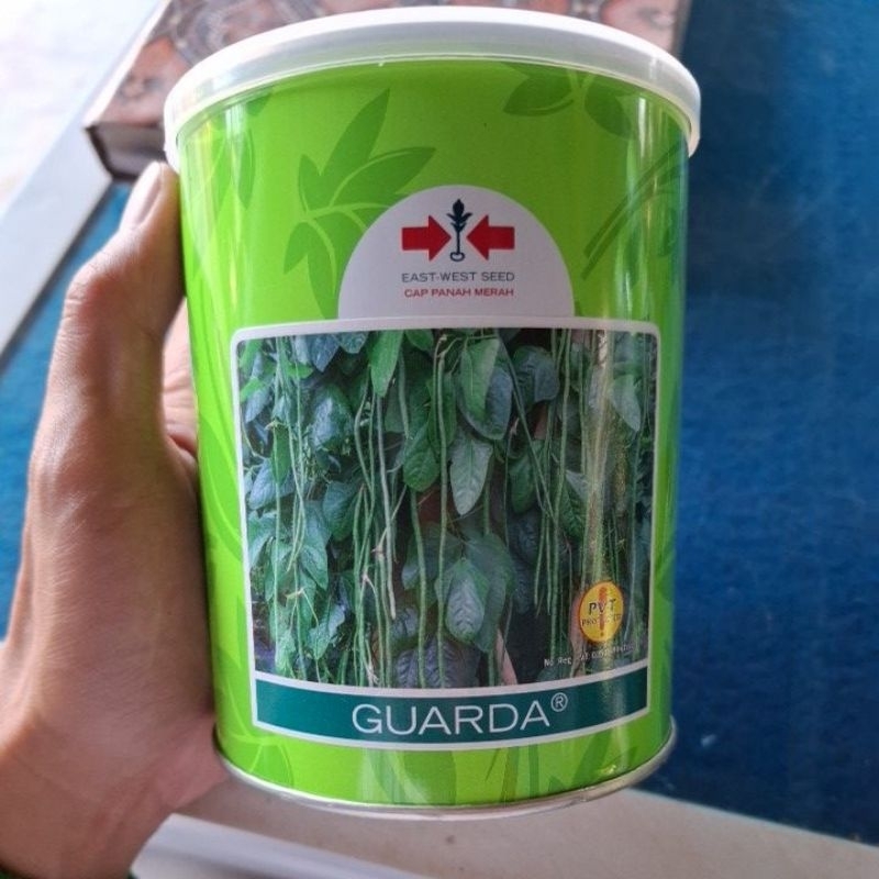 Bibit kacang panjang guarda cap panah merah