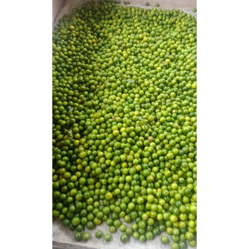 

jeruk sonkit/kasturi/lemot cuy/peras 1kg harga termurah