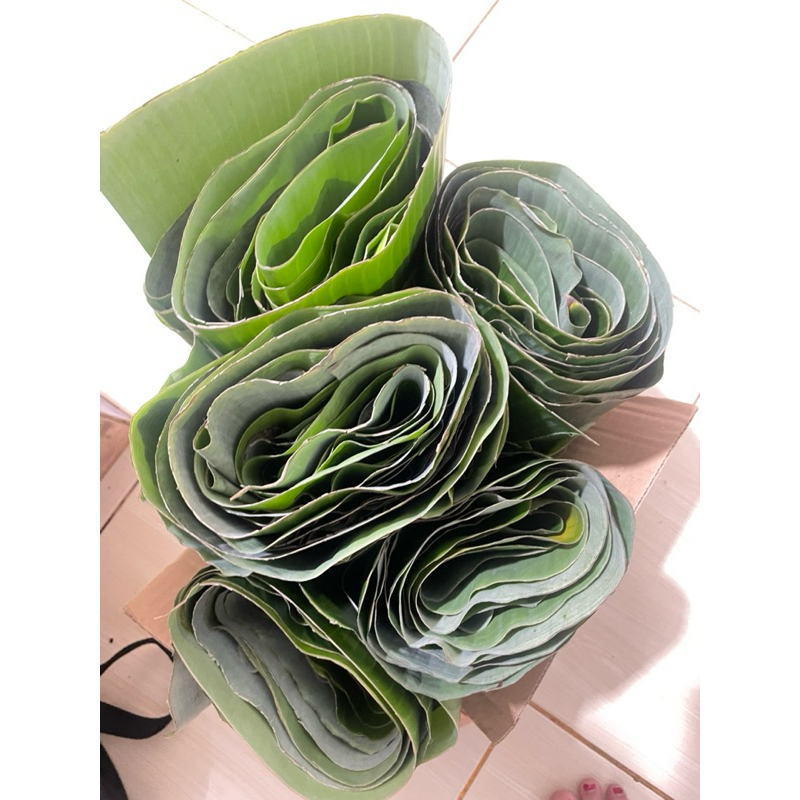 

Daun Pisang per Ikat