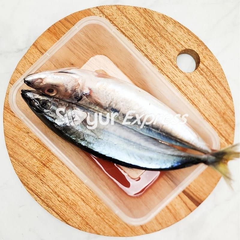 

KIRIM INSTAN Ikan Layang 2 ekor per pack