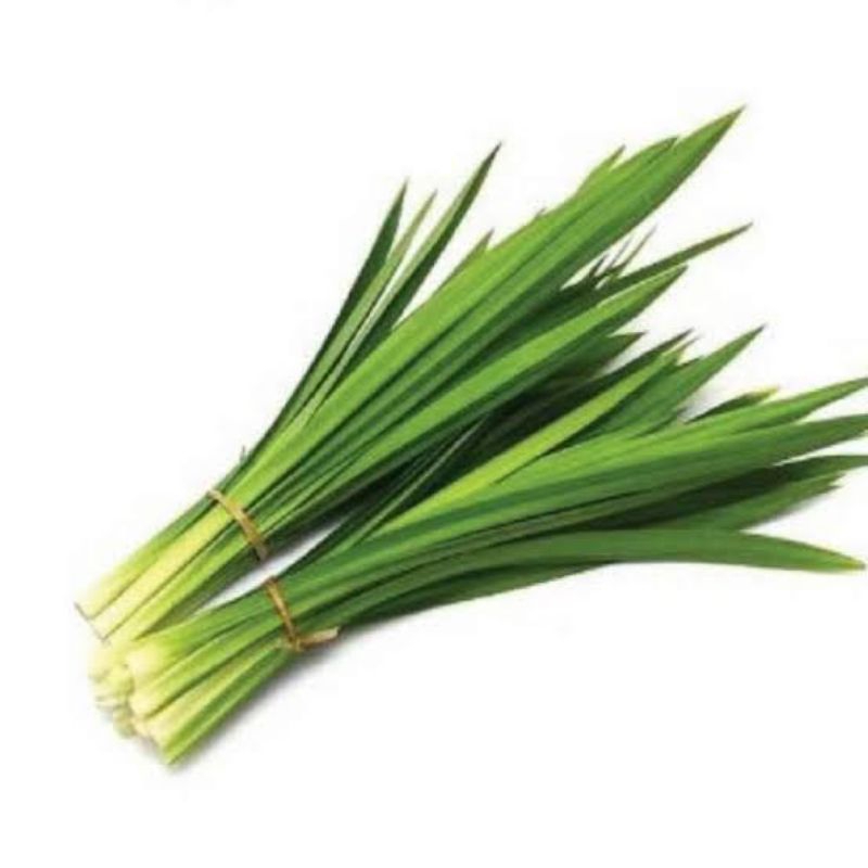 

Daun Pandan Fresh (10-15 lembar )