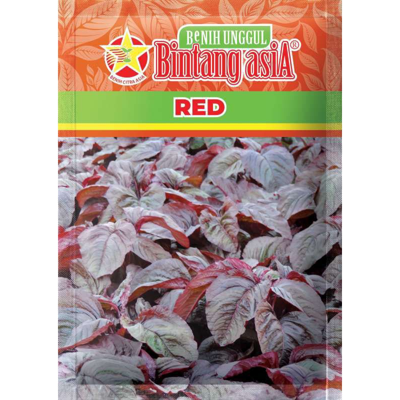 Benih - Bibit Bayam merah gelap Red isi 500 Gram Cap bintang asia