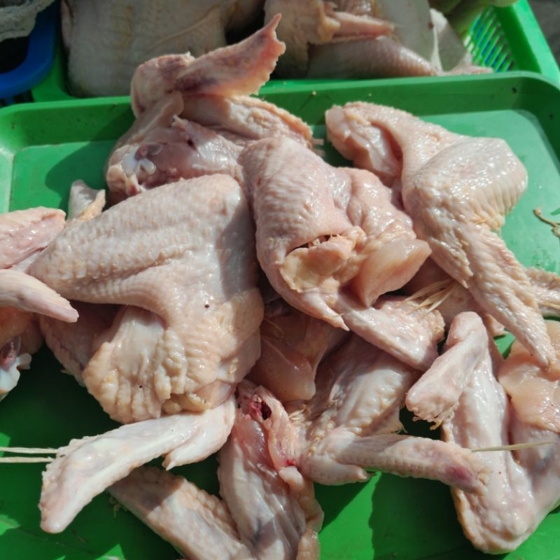 

sayap ayam 1kg
