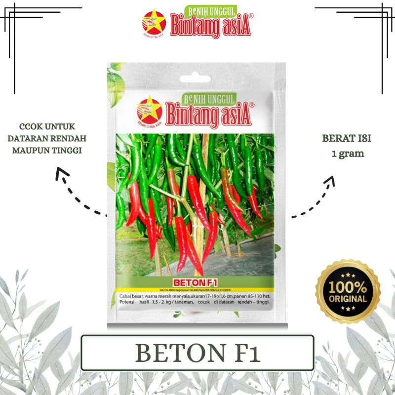 BENIH CABAI CABE BESAR BETON F1 1 GRAM BINTANG ASIA PT. BENIH CITRA ASIA