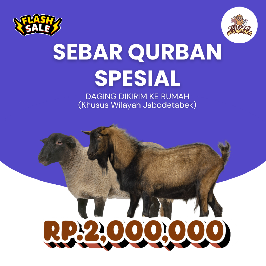

QURBAN SPESIAL KAMBING/DOMBA FREE ONGKIR