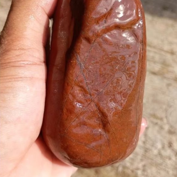 rough batu tapak jalak srigunting jesper merah 602gr